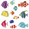 Cartoon colored tropical fish. with a Doodle pattern . for children. stickers with a cutting outline, on a white isolated