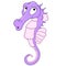 Cartoon colorful seahorse underwater animal
