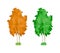 Cartoon colorful trees. Cute woody plants, green, yellow birch trees.