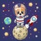 Cartoon Corgi astronaut on the moon on a space background