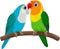Cartoon Couple Lovebird Parrot on White Background