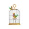 Cartoon couple of multi-colored tropical birds. Antique hanging cage. Domestic animals. Flat vector element for pet shop