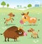 Cartoon cow set: cows, bull and calf bull