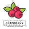 Cartoon cranberry label vector