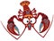 Cartoon crayfish on white