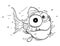 Cartoon of Crazy Cute Fish