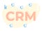 Cartoon CRM Lettering and Customers Flat Icons
