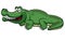 Cartoon crocodile