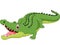 Cartoon crocodile