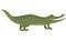 Cartoon crocodile. Vector illustration of a green alligator. Drawing animal for children. Zoo for kids.