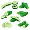 Cartoon cucumbers set. Whole cucumbers, half, flying slices and cucumbers group. Fresh farm vegetables collection. Vector illustra