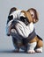 cartoon cute amarican bulldog