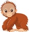 Cartoon cute a baby monkey