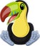 Cartoon cute baby toucan sitting