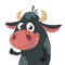 Cartoon cute black cow standing and presenting. Vector illustration of a cow character