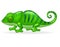 Cartoon cute Chameleon on white background