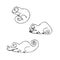 Cartoon cute chameleons set. Vector contour lizard