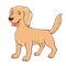 Cartoon cute dog, friendly golden retriever drawn vector illustration