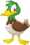 Cartoon cute duck. Vector illustration of funny happy animal.