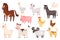 Cartoon cute farm animals and birds, rural domestic livestock. Sheep chicken duck, rabbit, goose, cow, donkey, goat, pig