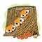 Cartoon cute hand draw three foxes in log, Autumn vector.