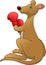 Cartoon cute kangaroo boxing