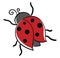 Cartoon cute little ladybug over white background, vector or color illustration