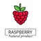 Cartoon cute raspberry label