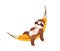 Cartoon cute sleeping sloth character in hammock