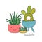 Cartoon cute succulents in pot.