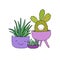 Cartoon cute succulents in pot.