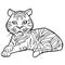 Cartoon cute tiger coloring page vector