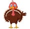 Cartoon cute turkey bird presenting