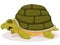 Cartoon Cute Turtle Character
