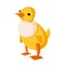 Cartoon cute yellow chicken stands isolated on a white background.