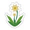 cartoon daffodil flower image