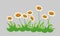 Cartoon daisy flowers pattern placed in row with grass