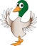 Cartoon of a dancing duck