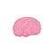 Cartoon design for the human brain