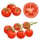 Cartoon different types tomatoes set. Red ripe vegetables isolated on white background. Group, slice and cherry tomatoes on branch