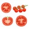 Cartoon different types tomatoes set. Red ripe vegetables isolated on white background. Slices, half tomato and cherry tomatoes on