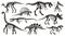 Cartoon dino skeleton silhouettes. Ancient dinosaur fossil bones, jurassic tyrannosaurus, velociraptor, spinosaurus black