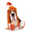 Cartoon dog. basset hound with christmas present box