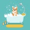 Cartoon Dog in Bath Grooming Services. Vector