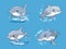 Cartoon Dolphin in the Ocean