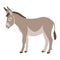 Cartoon donkey ,vector illustration ,flat style,profile