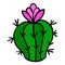 Cartoon doodle cactus, plant, flower isolated on white background.