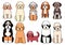 Cartoon doodle dogs sitting bundle