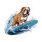 Cartoon drawing of a funny dog riding a surfboard on the waves. For your design