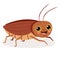 Cartoon Drawing Of Isolated Cockroach